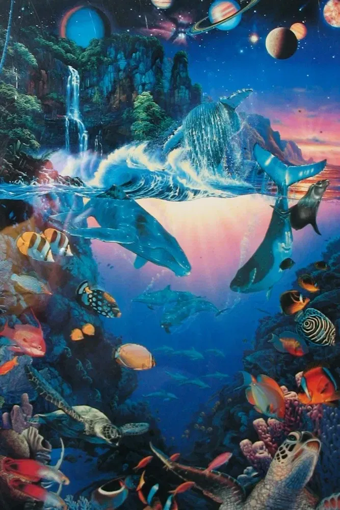 The Spiritual Evolution of the Space Whale