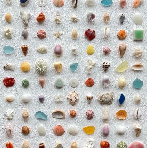 Pills & Potions