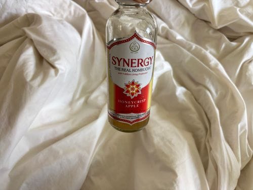 Synergy Honeycrisp Apple Kombucha
