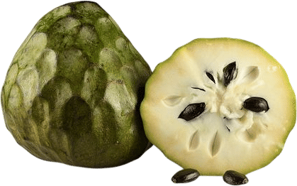 cherimoyas