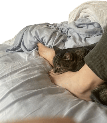 a cat on you