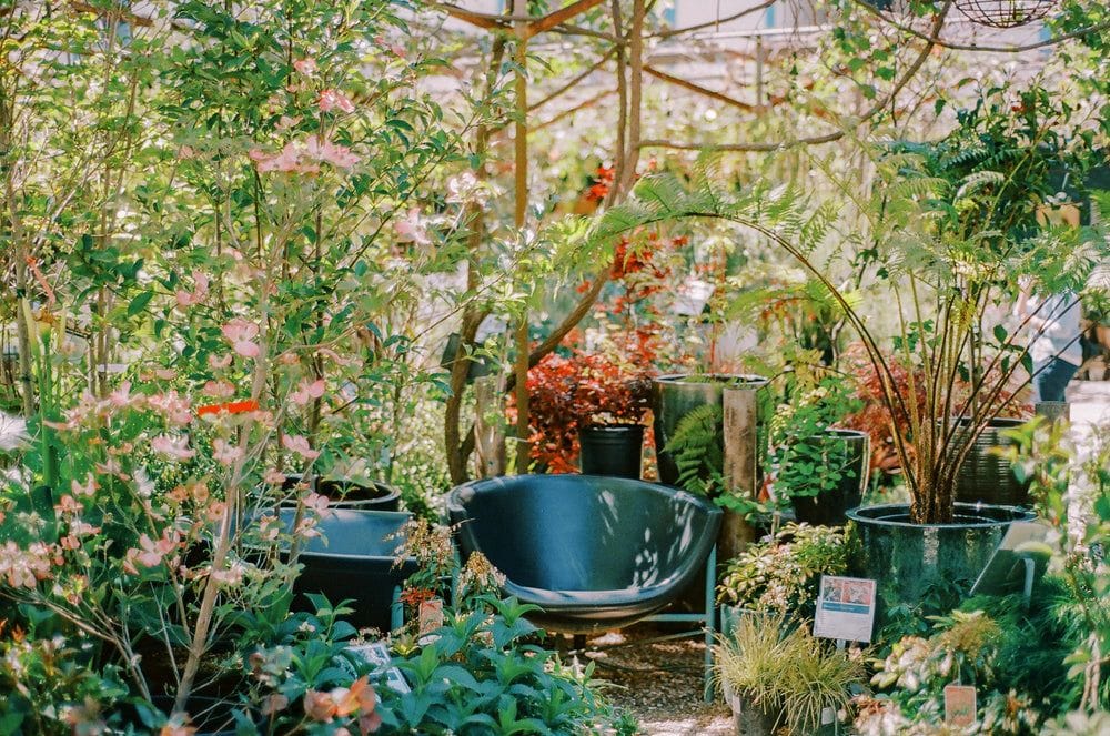 Flowerland