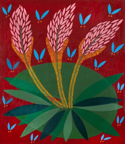 Isabella Sullivan Gallery
