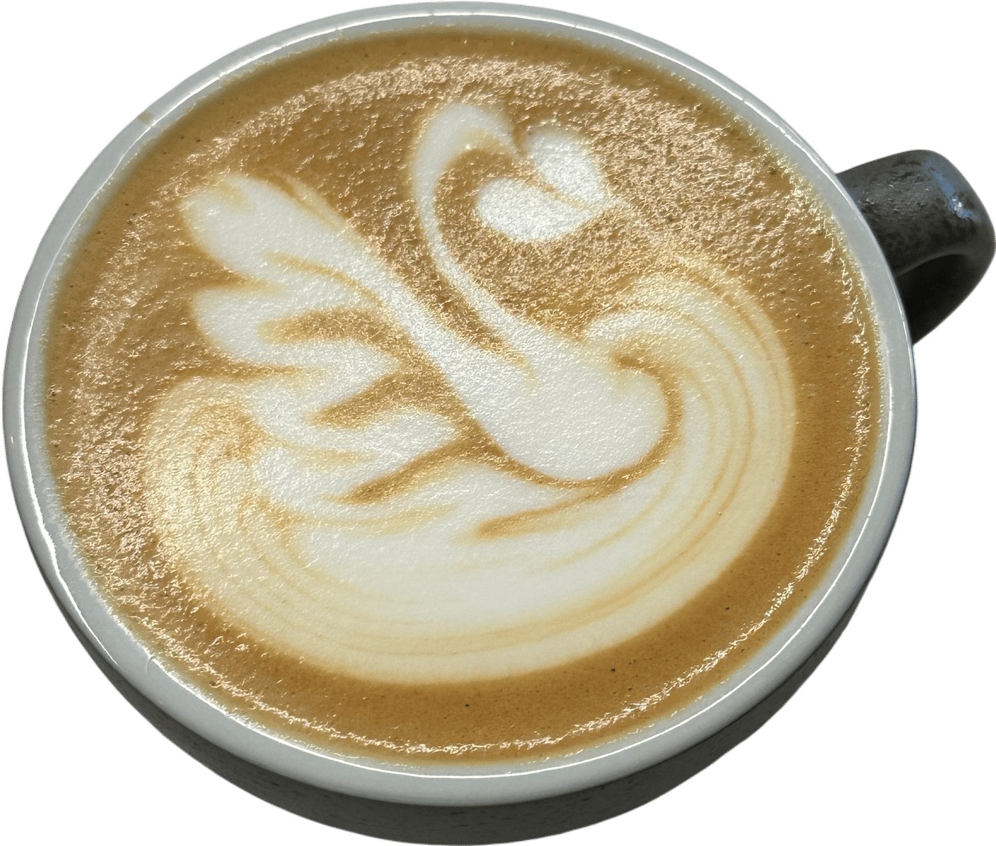 Exceptional Coffee