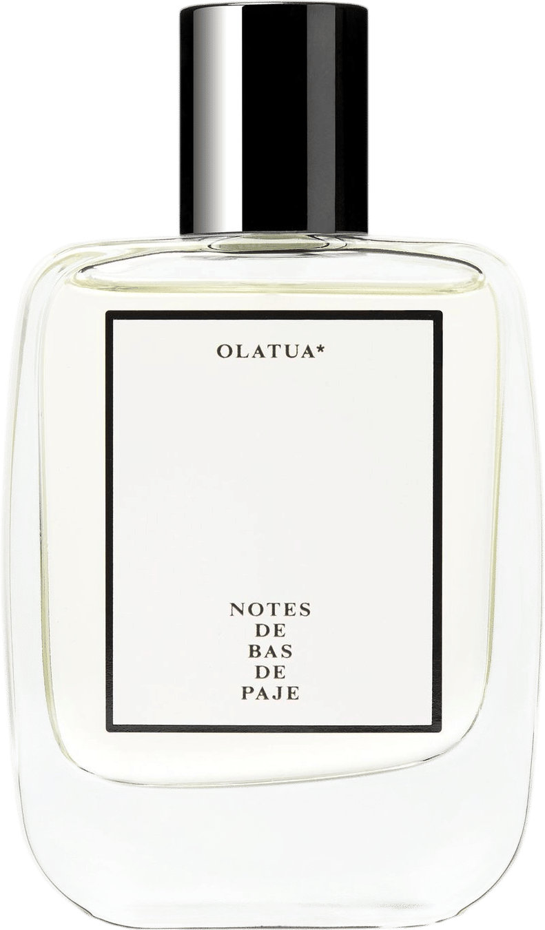 Notes de Bas de Paje Olatua