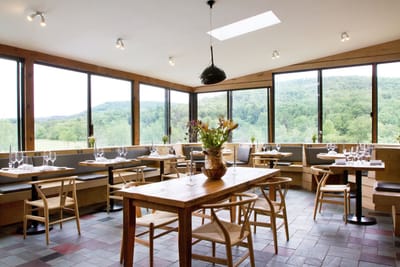 The DeBruce