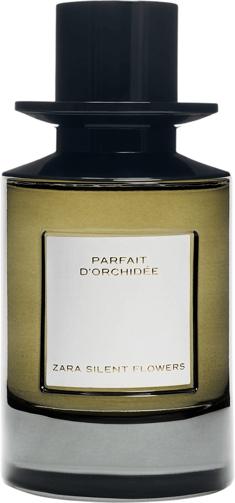 parfait d'orchidee - zara