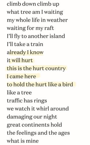 What Tree Am I Waiting by Eileen Myles