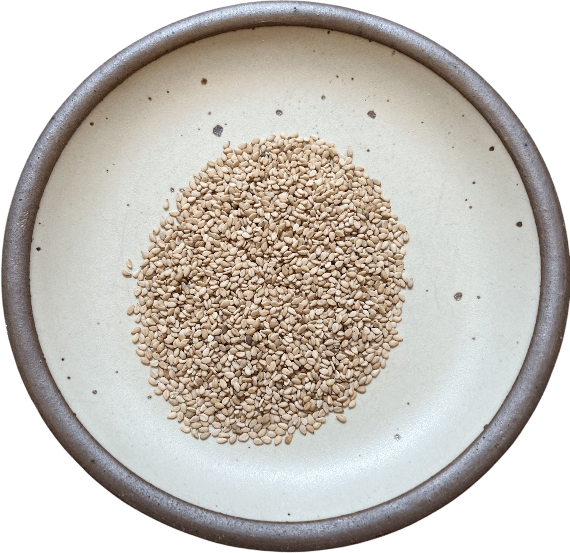 Sea Island Benne Seeds