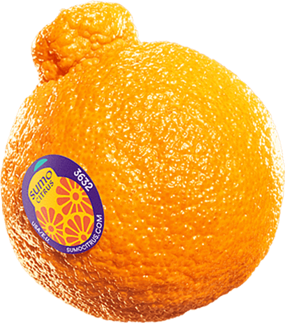 sumo citrus