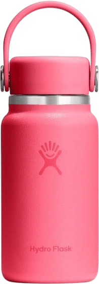 Mini Hydro Flask Bottle (6.7 oz)