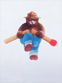 Smokey Bear destroys match